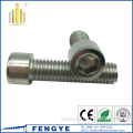 Stainless Steel Allen Hex Head socket cap bolt